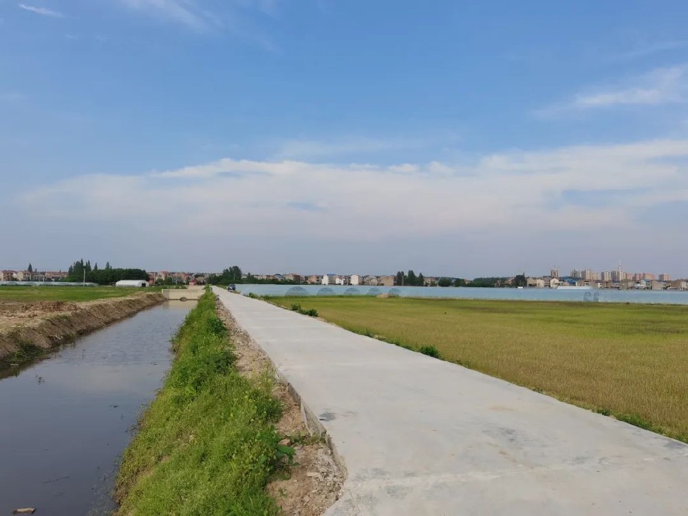 臨潼區(qū)高標(biāo)準(zhǔn)農(nóng)田建設(shè)項(xiàng)目